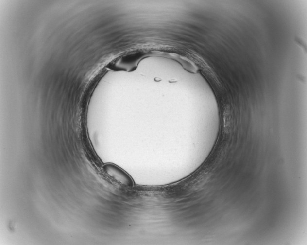 X0000100190436200806271622