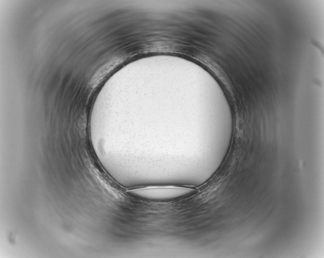 X0000100190437200806271622
