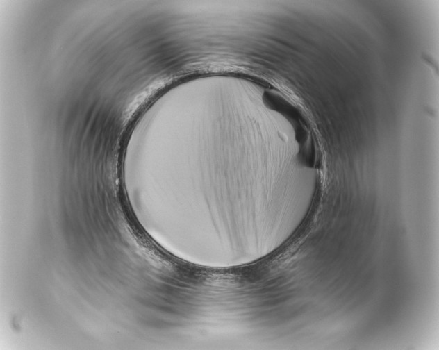X0000100190438200806271622