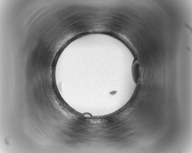 X0000100190439200806271622