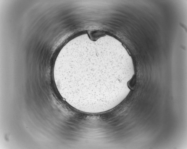 X0000100190440200806271622