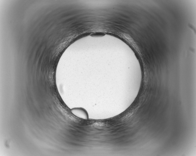 X0000100190441200806271622