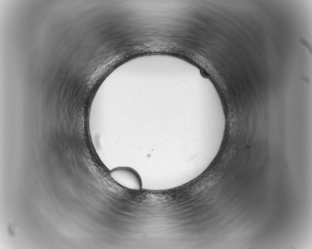 X0000100190442200806271622