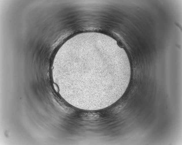 X0000100190443200806271622