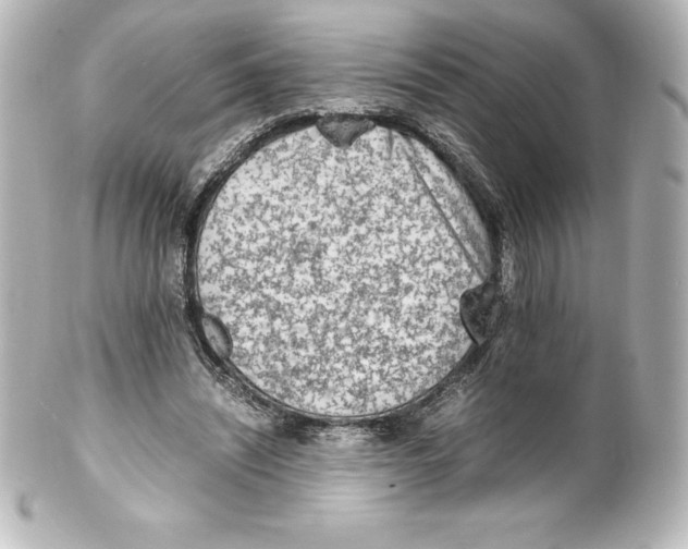X0000100190444200806271622