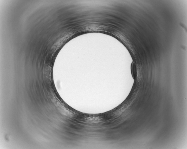 X0000100190445200806271622
