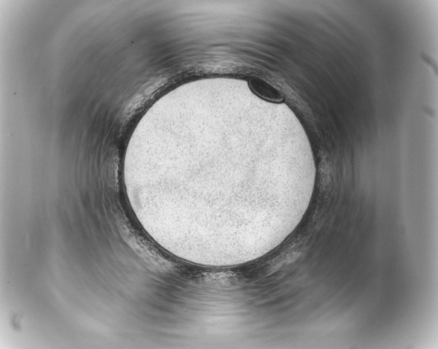 X0000100190446200806271622