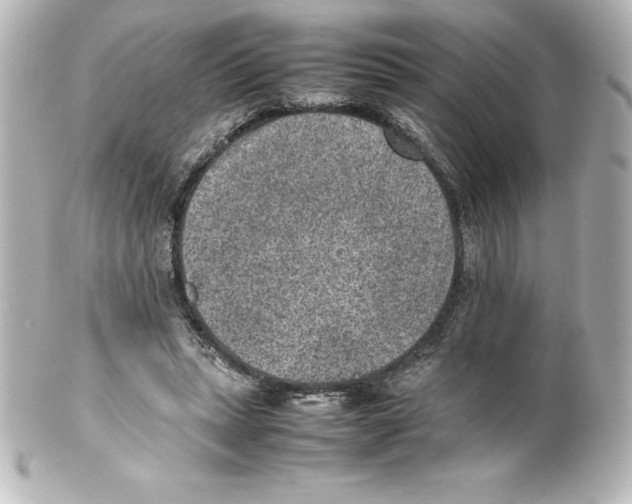 X0000100190447200806271622