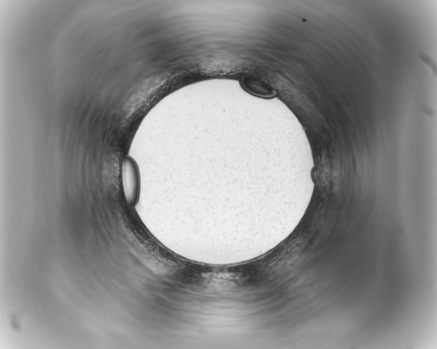 X0000100190448200806271622