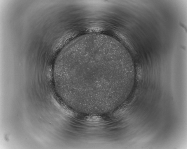 X0000100190451200806271622