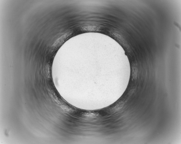 X0000100190453200806271622