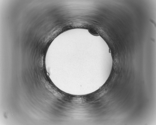 X0000100190454200806271622
