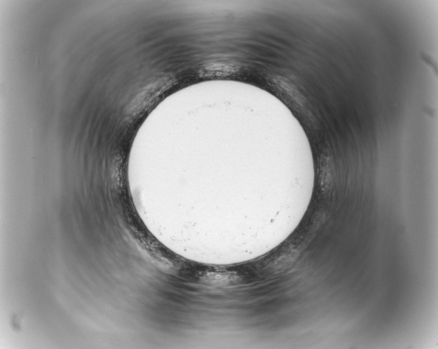 X0000100190455200806271622
