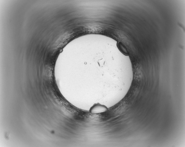 X0000100190456200806271622