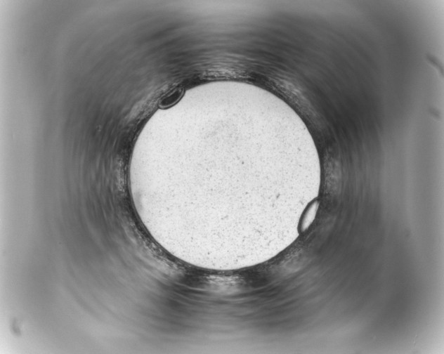 X0000100190457200806271622