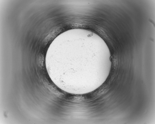 X0000100190458200806271622