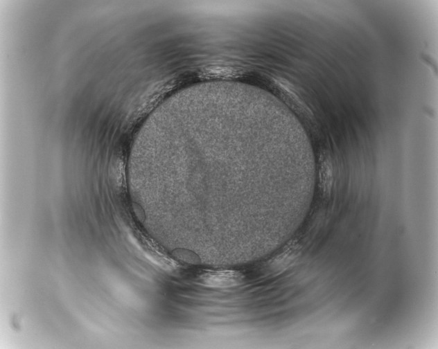 X0000100190459200806271622
