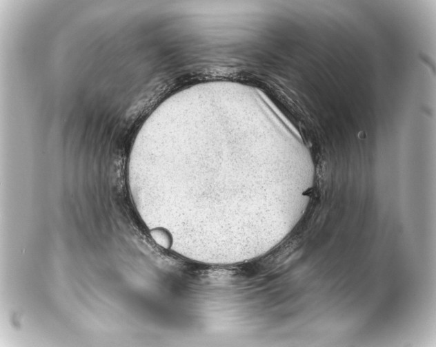 X0000100190462200806271623