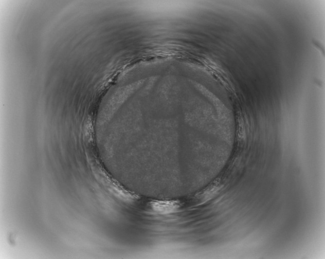 X0000100190465200806271623