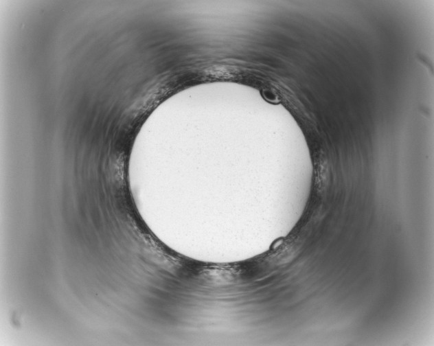 X0000100190466200806271623