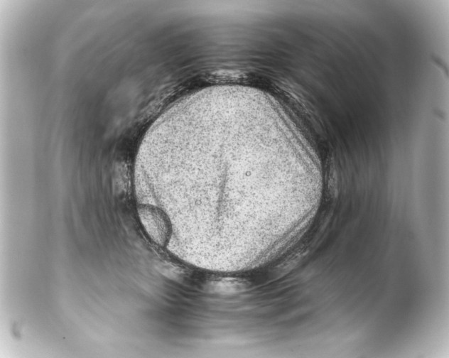 X0000100190467200806271623