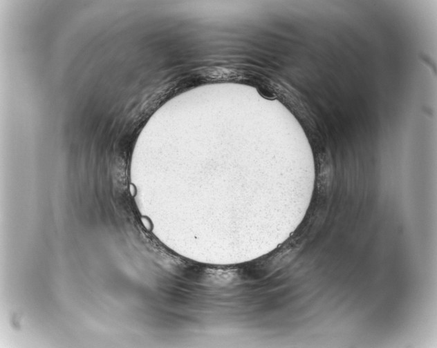 X0000100190469200806271623