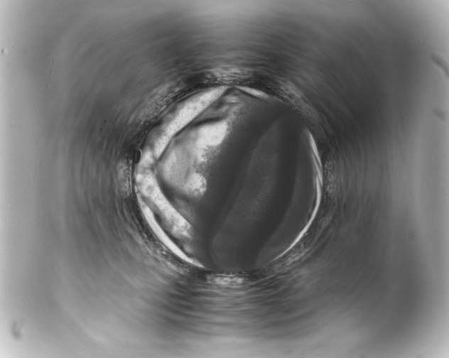 X0000100190471200806271623