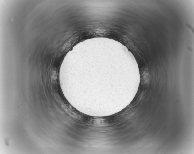 X0000100190472200806271623