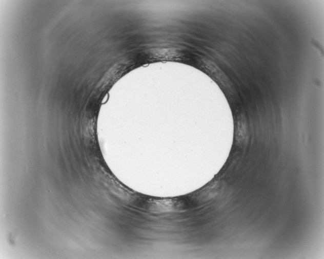 X0000100190473200806271623