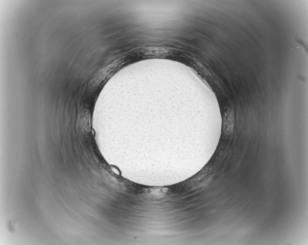 X0000100190474200806271623