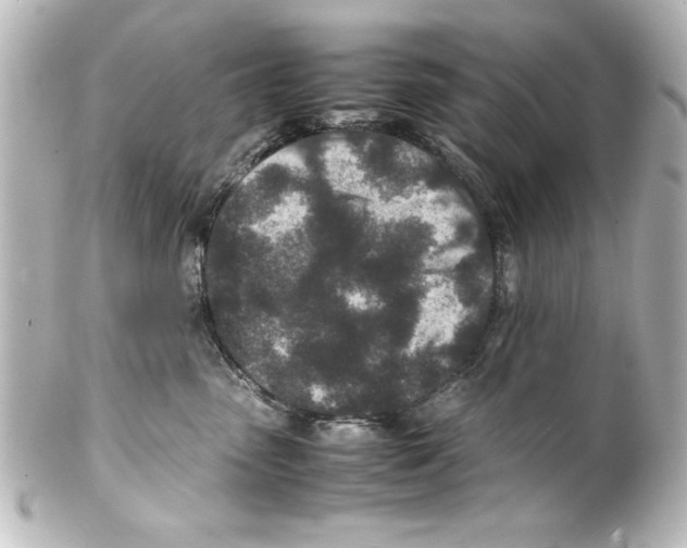 X0000100190475200806271623