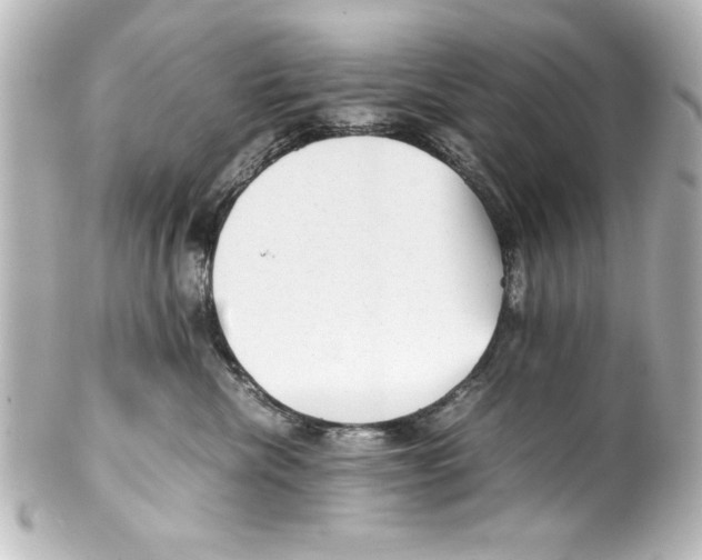 X0000100190476200806271623