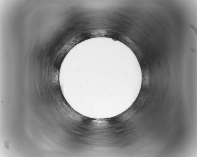 X0000100190477200806271623