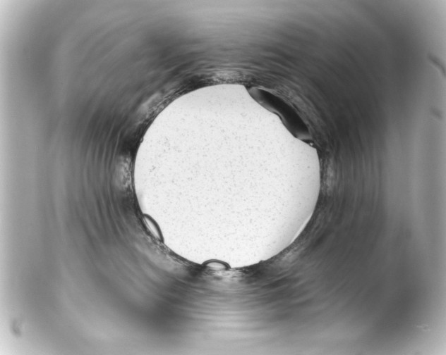 X0000100190478200806271623