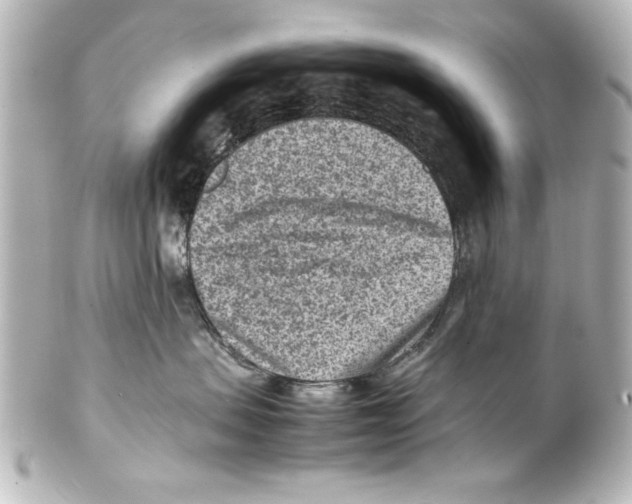 X0000100190479200806271623