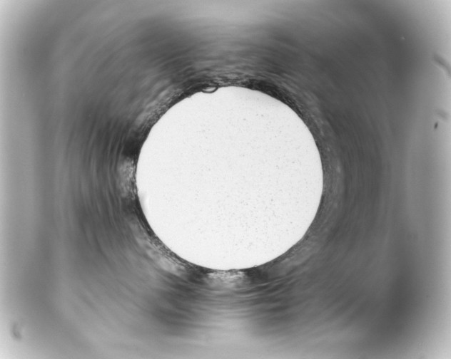 X0000100190480200806271623