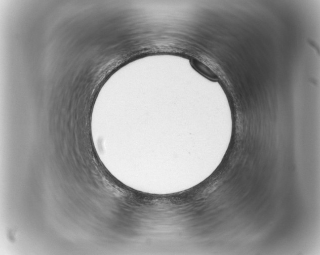 X0000100190481200806271622