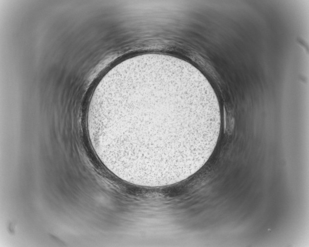 X0000100190483200806271622