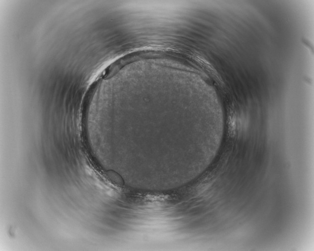 X0000100190484200806271622