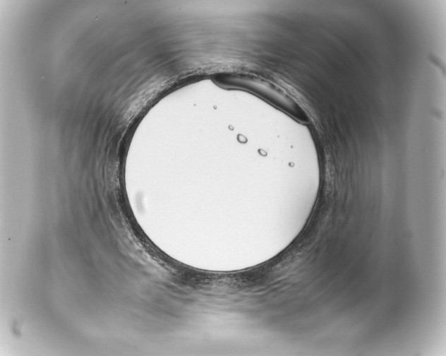 X0000100190485200806271622