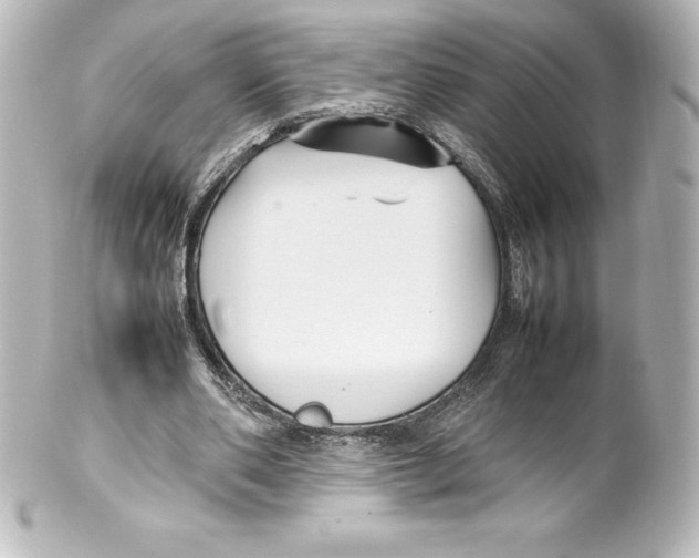 X0000100190486200806271622