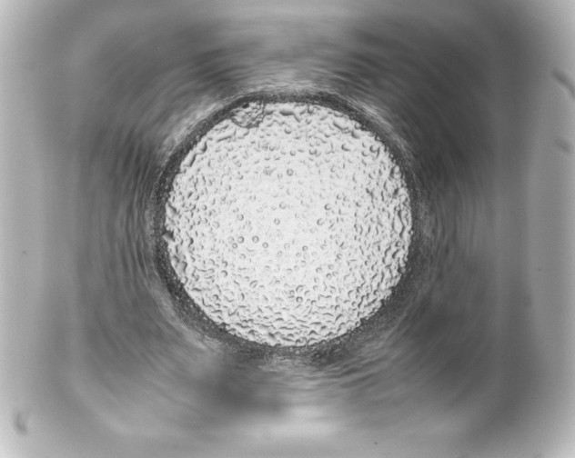 X0000100190487200806271622