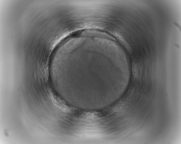 X0000100190488200806271622