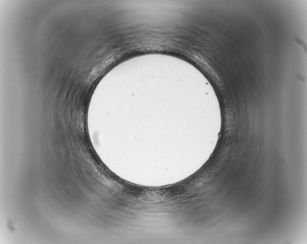 X0000100190489200806271622