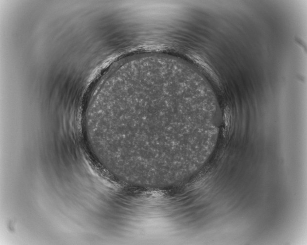 X0000100190492200806271622
