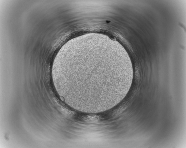X0000100190493200806271622