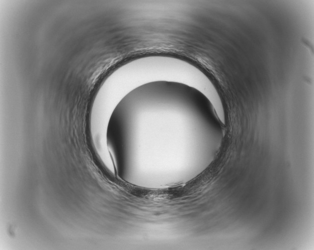 X0000100190495200806271622