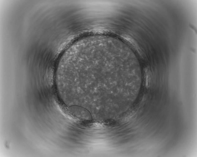 X0000100190496200806271622