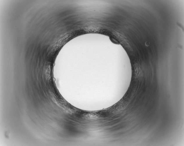 X0000100190498200806271622