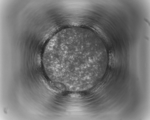 X0000100190500200806271622